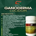 Ganoderma Lucid